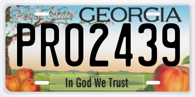 GA license plate PRO2439