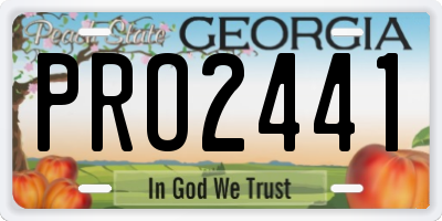GA license plate PRO2441