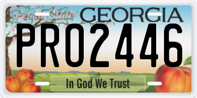 GA license plate PRO2446