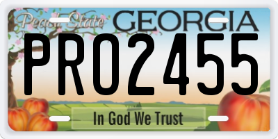 GA license plate PRO2455