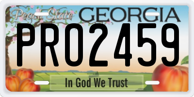 GA license plate PRO2459
