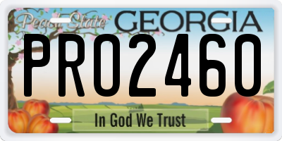 GA license plate PRO2460