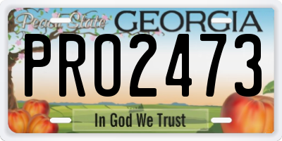 GA license plate PRO2473