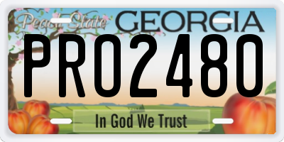 GA license plate PRO2480