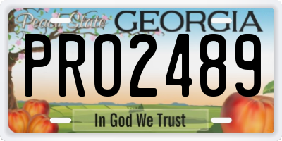 GA license plate PRO2489