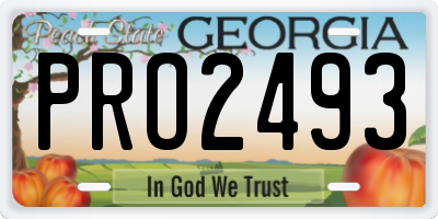 GA license plate PRO2493