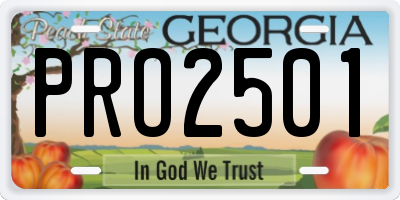 GA license plate PRO2501