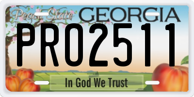 GA license plate PRO2511