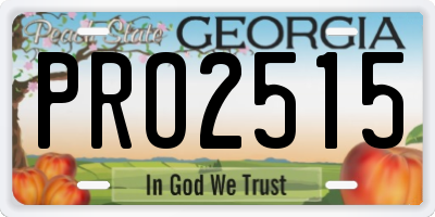 GA license plate PRO2515