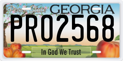 GA license plate PRO2568