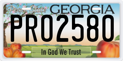 GA license plate PRO2580