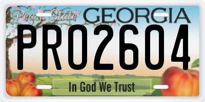 GA license plate PRO2604