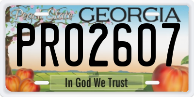 GA license plate PRO2607