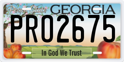GA license plate PRO2675