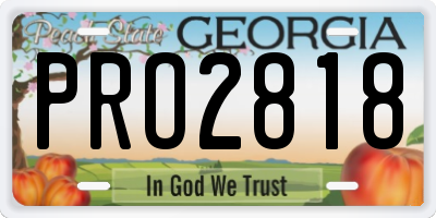 GA license plate PRO2818