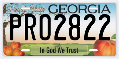 GA license plate PRO2822