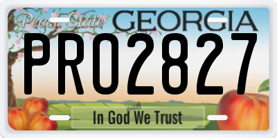 GA license plate PRO2827