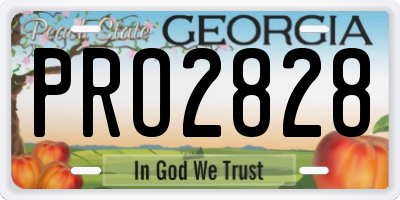 GA license plate PRO2828