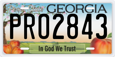 GA license plate PRO2843