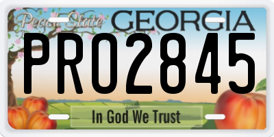 GA license plate PRO2845