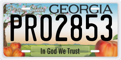 GA license plate PRO2853