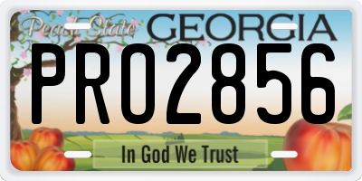 GA license plate PRO2856