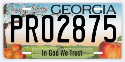 GA license plate PRO2875