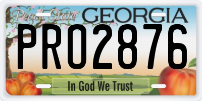GA license plate PRO2876