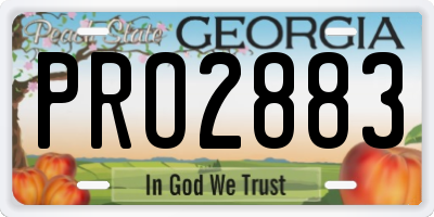 GA license plate PRO2883