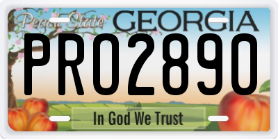 GA license plate PRO2890