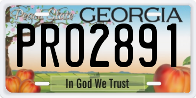 GA license plate PRO2891