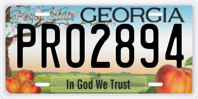GA license plate PRO2894