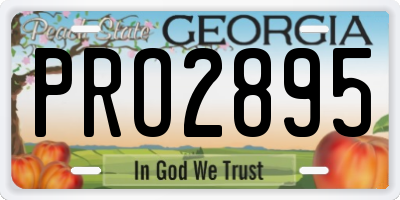 GA license plate PRO2895