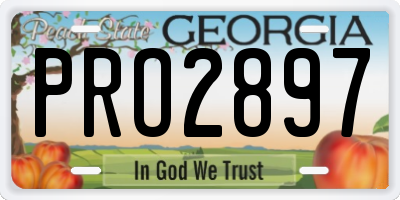 GA license plate PRO2897