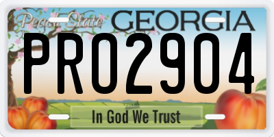 GA license plate PRO2904
