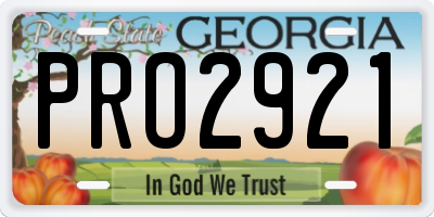 GA license plate PRO2921