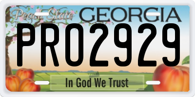 GA license plate PRO2929