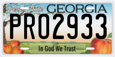 GA license plate PRO2933