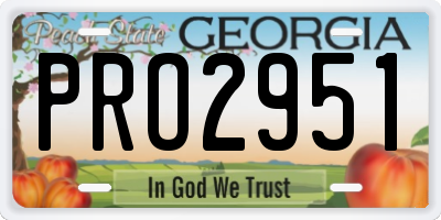 GA license plate PRO2951