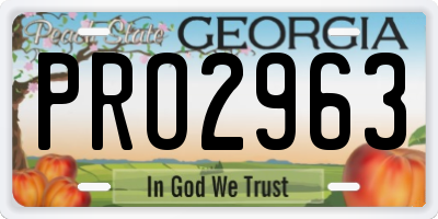 GA license plate PRO2963
