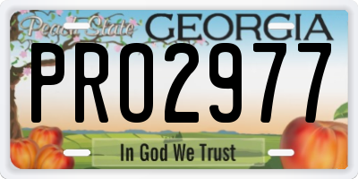 GA license plate PRO2977