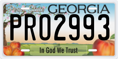GA license plate PRO2993