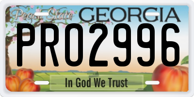 GA license plate PRO2996