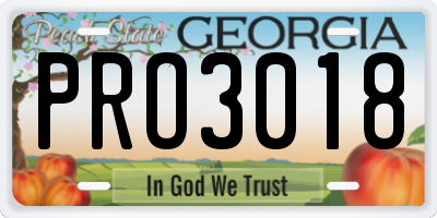 GA license plate PRO3018