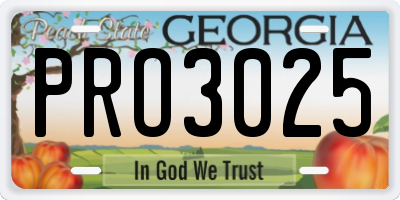 GA license plate PRO3025