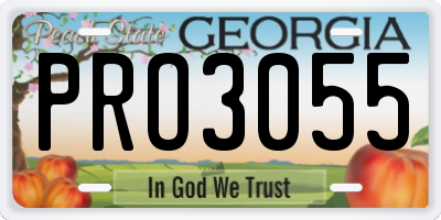 GA license plate PRO3055