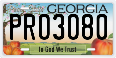 GA license plate PRO3080