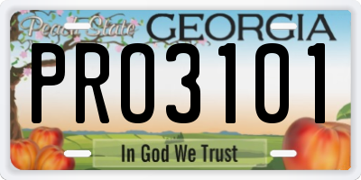 GA license plate PRO3101