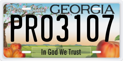 GA license plate PRO3107