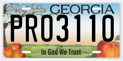 GA license plate PRO3110